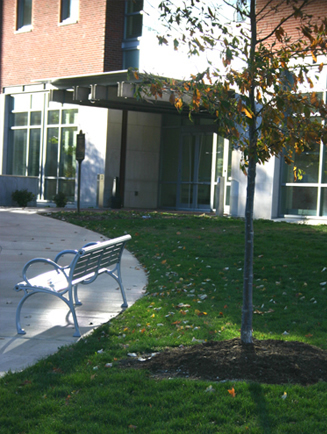 UIUC NCSA Benches